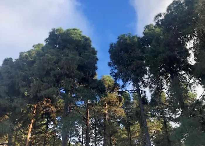 Finca Esferas
